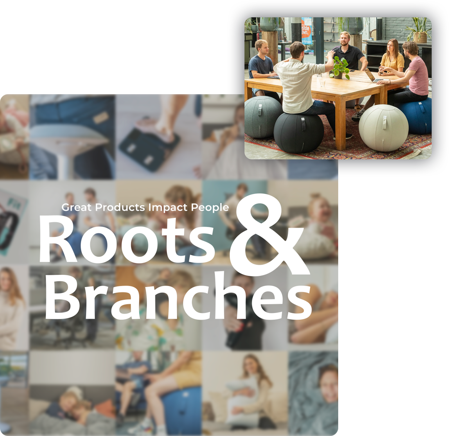 About Us – Roots & Branches